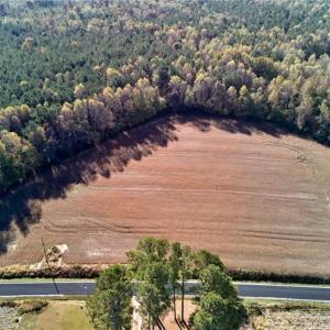 Photo #9 of 50 AC MINERAL SPRING Road, Suffolk, Virginia 50.3 acres