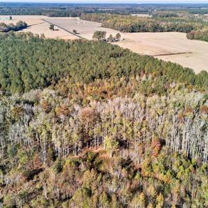 Photo #3 of 69 AC MINERAL SPRING Road, Suffolk, Virginia 69.5 acres