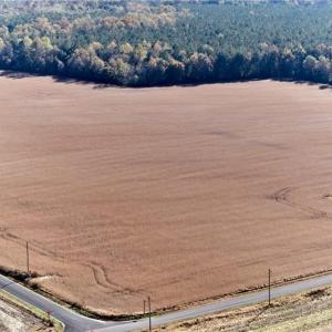 Photo #8 of 69 AC MINERAL SPRING Road, Suffolk, Virginia 69.5 acres