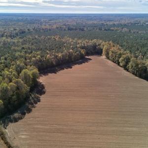 Photo #5 of 60 ac MINERAL SPRING Road, Suffolk, Virginia 60.9 acres