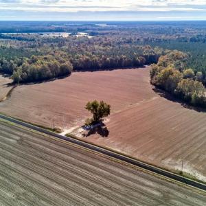 Photo #8 of 60 ac MINERAL SPRING Road, Suffolk, Virginia 60.9 acres