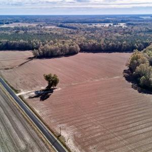 Photo #9 of 60 ac MINERAL SPRING Road, Suffolk, Virginia 60.9 acres