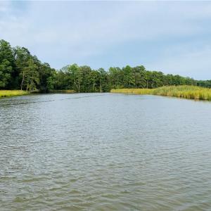 The Only Neighbors Across Lancaster Creek Are the Wildlife and Gorgeous Setting of Mature Trees and Marshes