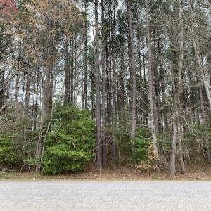 Photo #1 of 2.12ac Gilliam Road, Yale, Virginia 2.1 acres