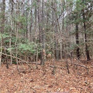 Photo #5 of 61+ac Stage Road, Lanexa, Virginia 61.1 acres