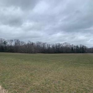 Photo #2 of SOLD property in 37+ac Gumfork Road, Gloucester, Virginia 37.3 acres