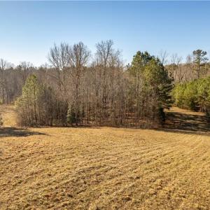 View of some of the trails that cover the property.