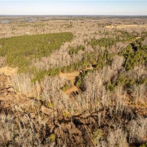 View of property from southeast. The creek creates the southern property line of the property.