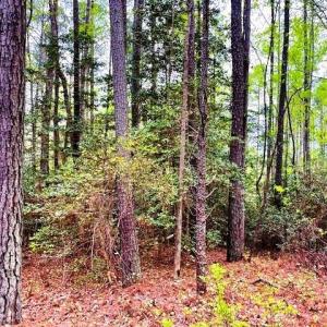 Photo #1 of 11 Meadowview (Lot 12) Lane, Lancaster, Virginia 0.9 acres