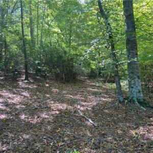 Photo #6 of Rock Fish Road, Heathsville, Virginia 3.3 acres