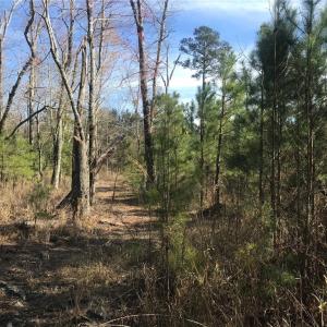 Photo #23 of 52+ac Indian Trail, Suffolk, Virginia 52.2 acres