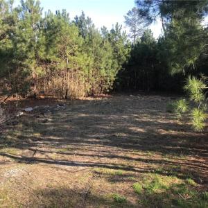 Photo #6 of 52+ac Indian Trail, Suffolk, Virginia 52.2 acres