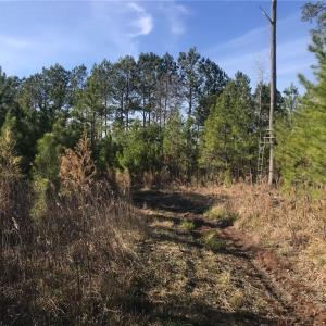 Photo #9 of 52+ac Indian Trail, Suffolk, Virginia 52.2 acres