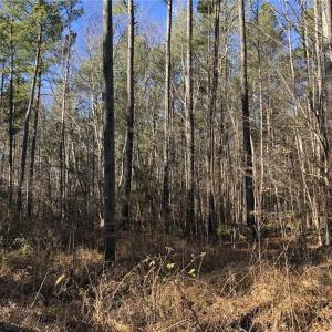 Photo #13 of Lot 12 Field Trial Road, Lancaster, Virginia 5.4 acres