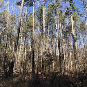 Photo #14 of Lot 12 Field Trial Road, Lancaster, Virginia 5.4 acres