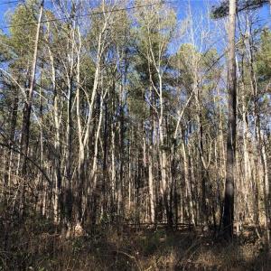 Photo #15 of Lot 12 Field Trial Road, Lancaster, Virginia 5.4 acres