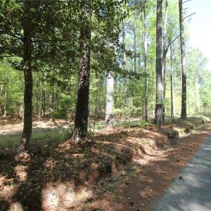 Photo #1 of 1.52ac Buckley Hall Road, Mathews, Virginia 1.5 acres