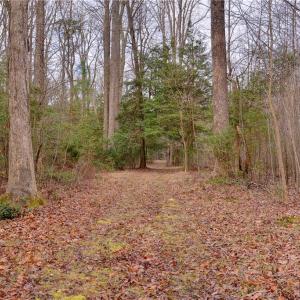 Photo #11 of Lot B Lonesome Pine Trail, Lancaster, Virginia 1.1 acres