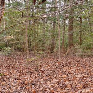 Photo #12 of Lot B Lonesome Pine Trail, Lancaster, Virginia 1.1 acres