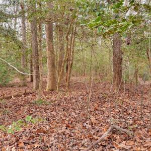 Photo #13 of Lot B Lonesome Pine Trail, Lancaster, Virginia 1.1 acres