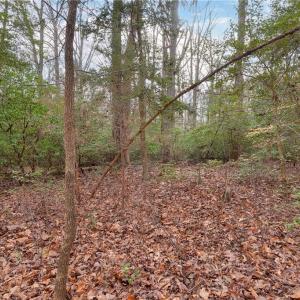 Photo #14 of Lot B Lonesome Pine Trail, Lancaster, Virginia 1.1 acres