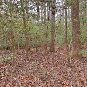 Photo #15 of Lot B Lonesome Pine Trail, Lancaster, Virginia 1.1 acres