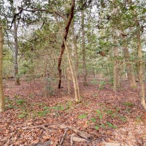 Photo #17 of Lot B Lonesome Pine Trail, Lancaster, Virginia 1.1 acres