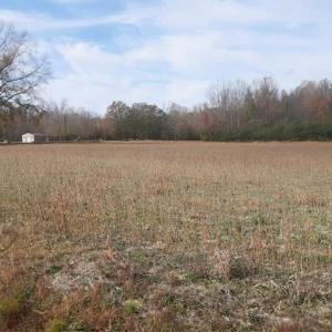 Photo #4 of 36+ac Corinth Chapel Road, Suffolk, Virginia 36.6 acres