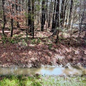 Photo #4 of 95 Camp Pond Road, Suffolk, Virginia 1.0 acres