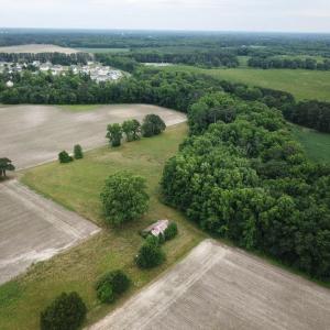 Photo #8 of 31280 Country Club Road, Franklin, Virginia 30.0 acres