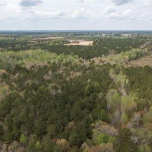 Photo #8 of 86 AC Holy Neck Road, Suffolk, Virginia 86.0 acres