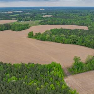 Photo #11 of 99+ AC Tennessee Road, Drewryville, Virginia 99.4 acres