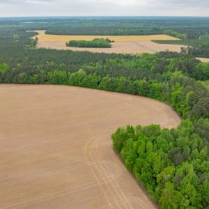 Photo #15 of 99+ AC Tennessee Road, Drewryville, Virginia 99.4 acres
