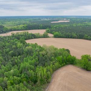 Photo #16 of 99+ AC Tennessee Road, Drewryville, Virginia 99.4 acres