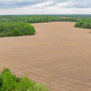 Photo #19 of 99+ AC Tennessee Road, Drewryville, Virginia 99.4 acres