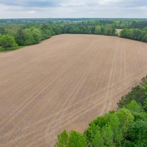 Photo #20 of 99+ AC Tennessee Road, Drewryville, Virginia 99.4 acres