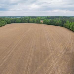 Photo #25 of 99+ AC Tennessee Road, Drewryville, Virginia 99.4 acres