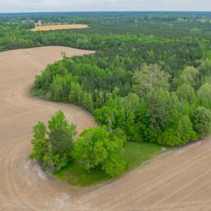 Photo #8 of 99+ AC Tennessee Road, Drewryville, Virginia 99.4 acres