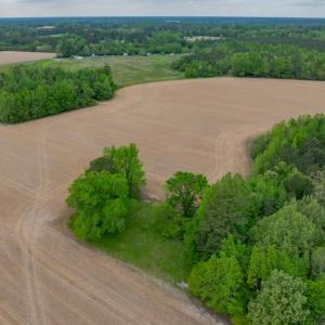 Photo #9 of 99+ AC Tennessee Road, Drewryville, Virginia 99.4 acres