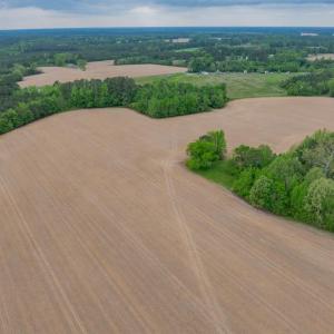 Photo #10 of 99+ AC Tennessee Road, Drewryville, Virginia 99.4 acres