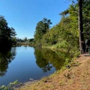 Photo #1 of 14+ac 32 Highway, Roper, North Carolina 14.7 acres