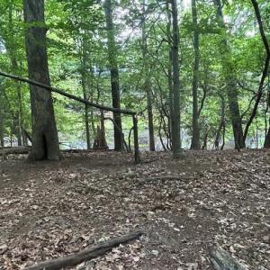 Photo #5 of 917 Lacon Drive, Newport News, Virginia 0.9 acres