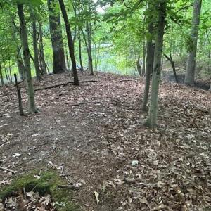 Photo #6 of 917 Lacon Drive, Newport News, Virginia 0.9 acres