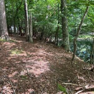 Photo #9 of 917 Lacon Drive, Newport News, Virginia 0.9 acres