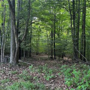 Photo #17 of 145 Sloop Point / Claremont area Road, Spring Grove, Virginia 24.5 acres