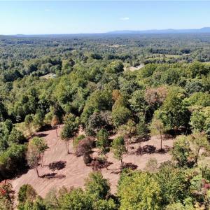 Photo #27 of Pedigo Ridge, Claudville, VA 41.6 acres