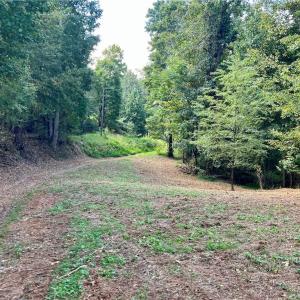 Photo #16 of Pedigo Ridge, Claudville, VA 41.6 acres