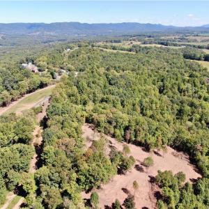 Photo #28 of Pedigo Ridge, Claudville, VA 41.6 acres