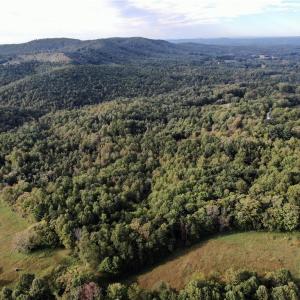 Photo #30 of Pedigo Ridge, Claudville, VA 41.6 acres