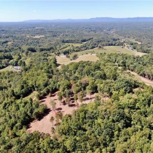 Photo #29 of Pedigo Ridge, Claudville, VA 41.6 acres